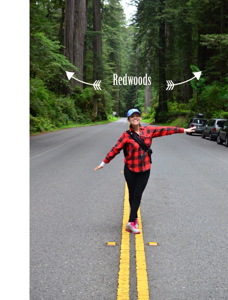 Redwoods Road